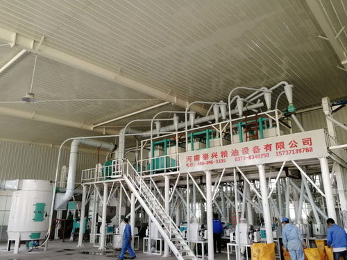 食品加工設備報價 廠家