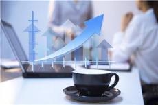 經(jīng)濟(jì)信息咨詢(xún) 商業(yè)決策的智慧引擎