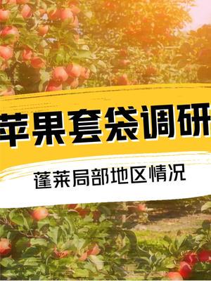 蘋(píng)果價(jià)格波動(dòng)背后的產(chǎn)業(yè)全景 從產(chǎn)區(qū)調(diào)研到市場(chǎng)應(yīng)對(duì)